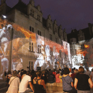 spectacle de son et lumière au château de Pau