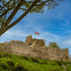 Photo des ruines de Talmont