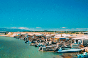 photo d'un port avec de nombreux bateaux de pécheurs coloré à quai