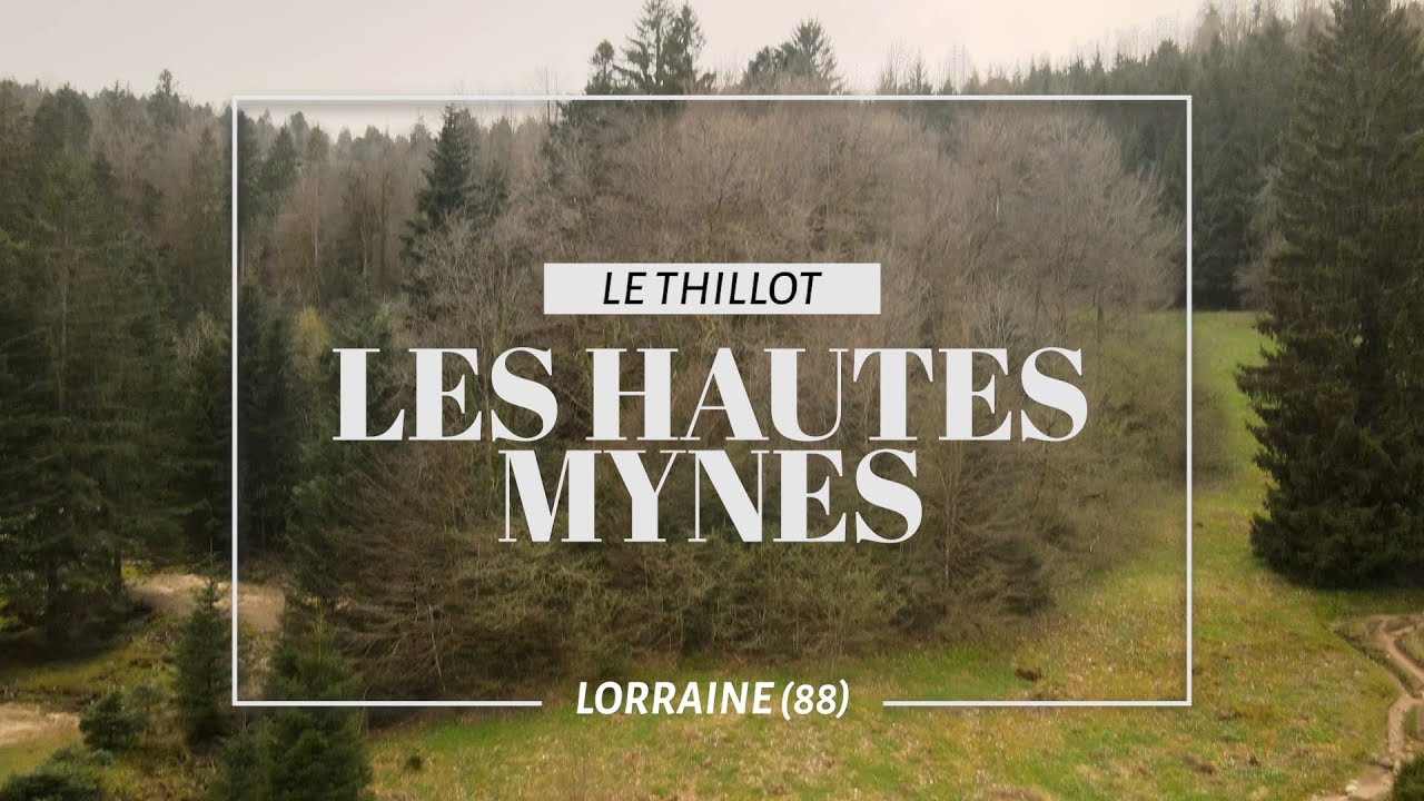 Les Hautes-Mynes du Thillot