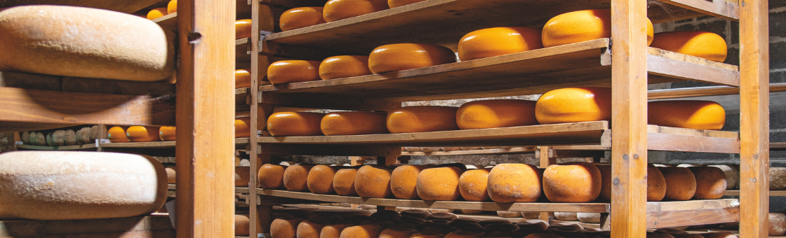 Virginie Dubois-Dhorne, créatrice fromagère