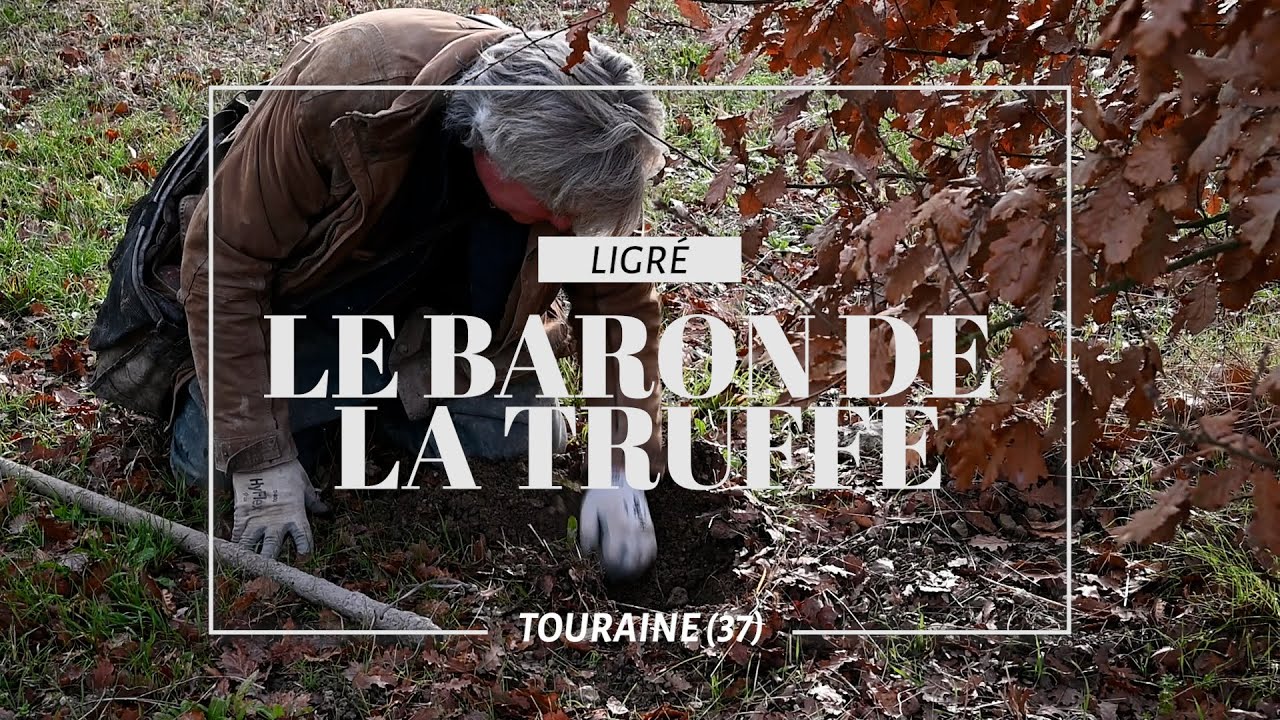 Le Baron de la Truffe