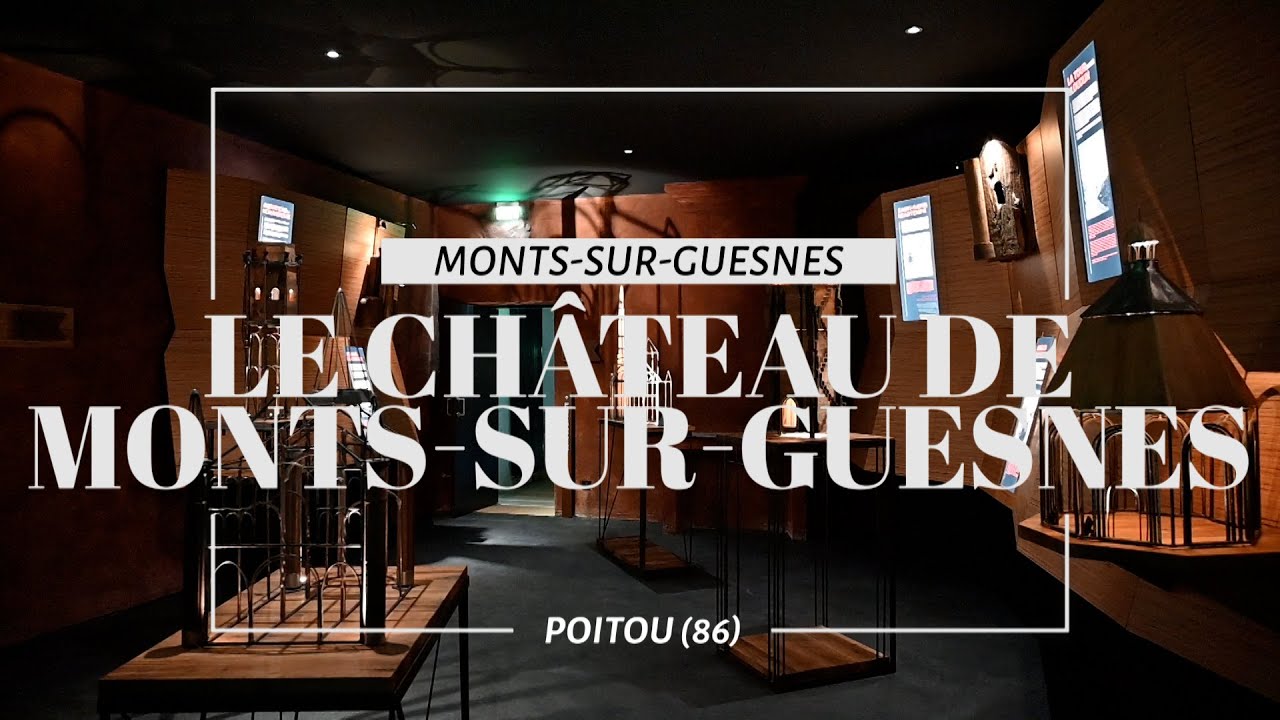 Le Château de Monts-sur-Guesnes