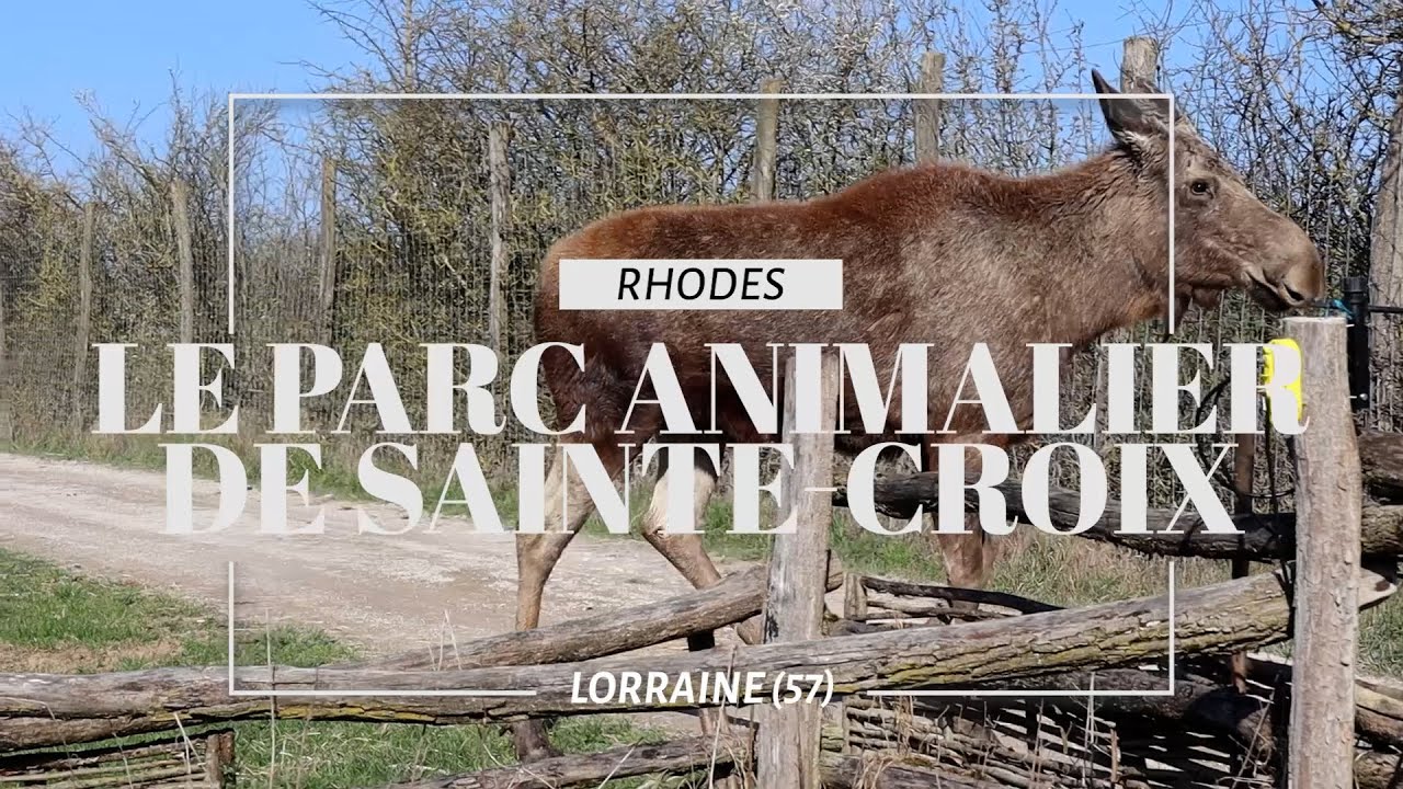 Le parc animalier de Sainte-Croix