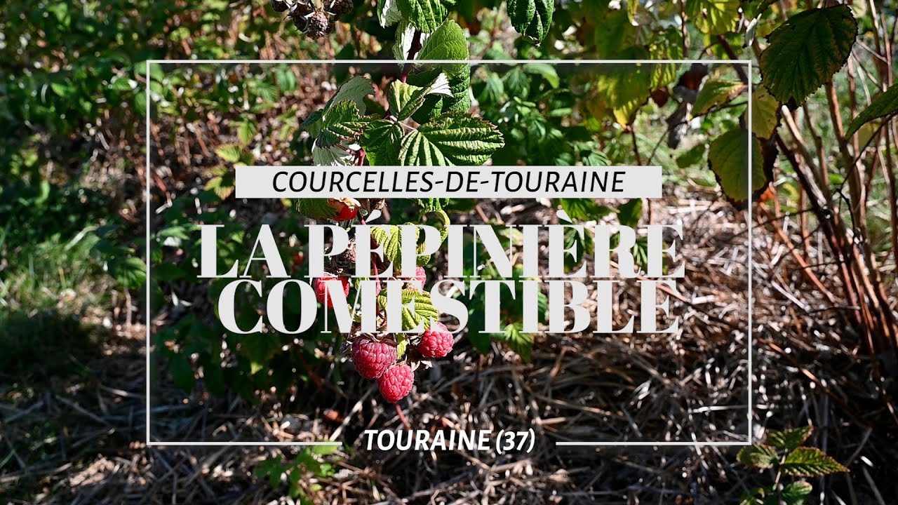 La Pépinière Comestible