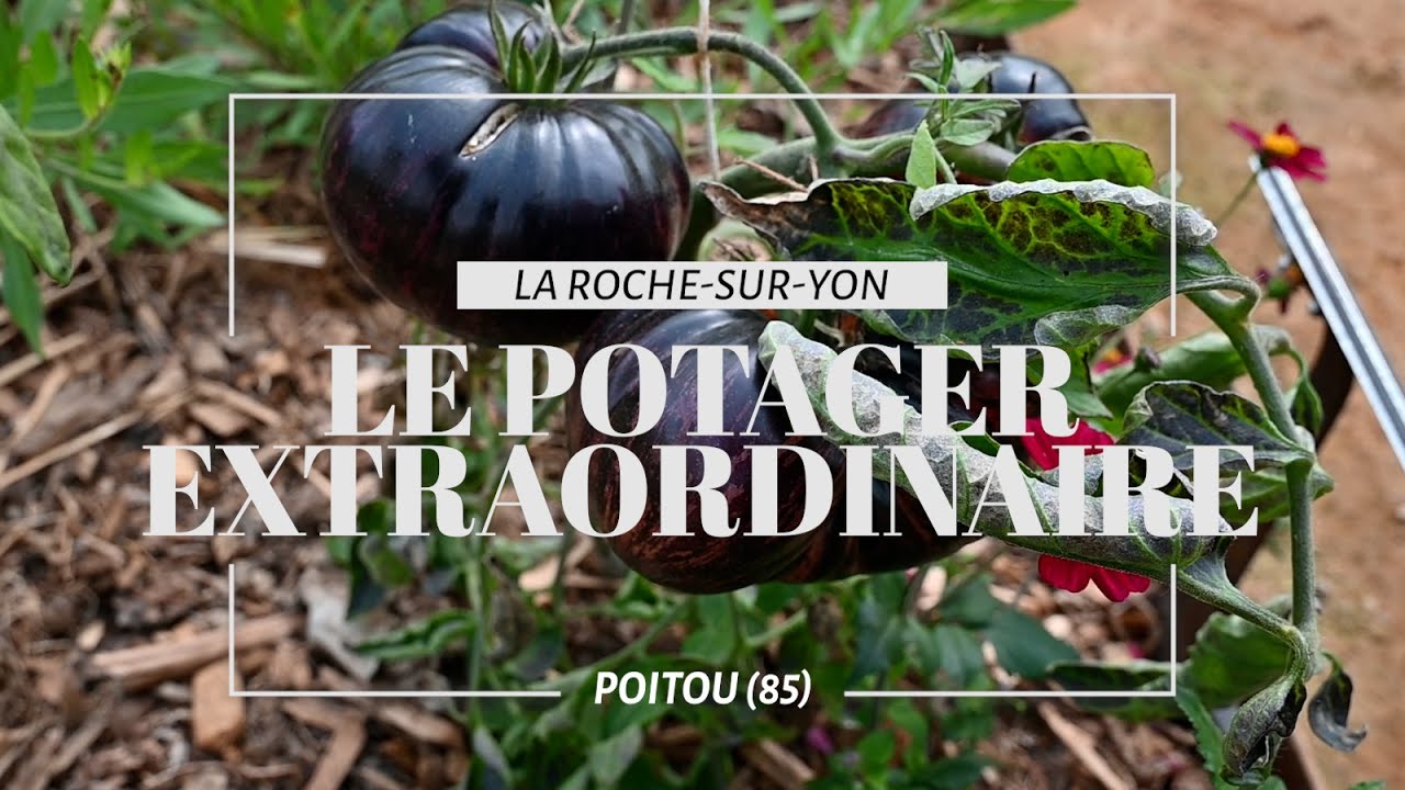 Le potager extraordinaire
