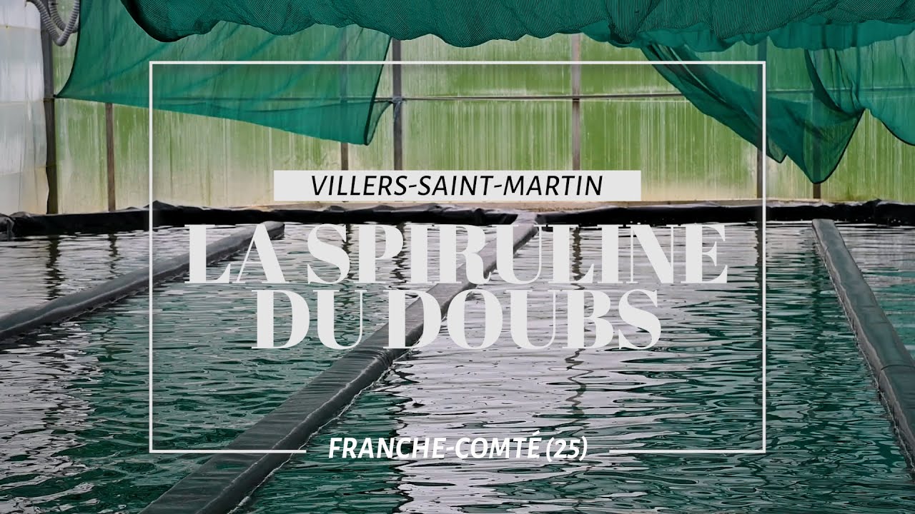 La Spiruline du Doubs