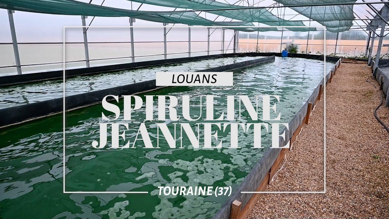 Spiruline Jeannette