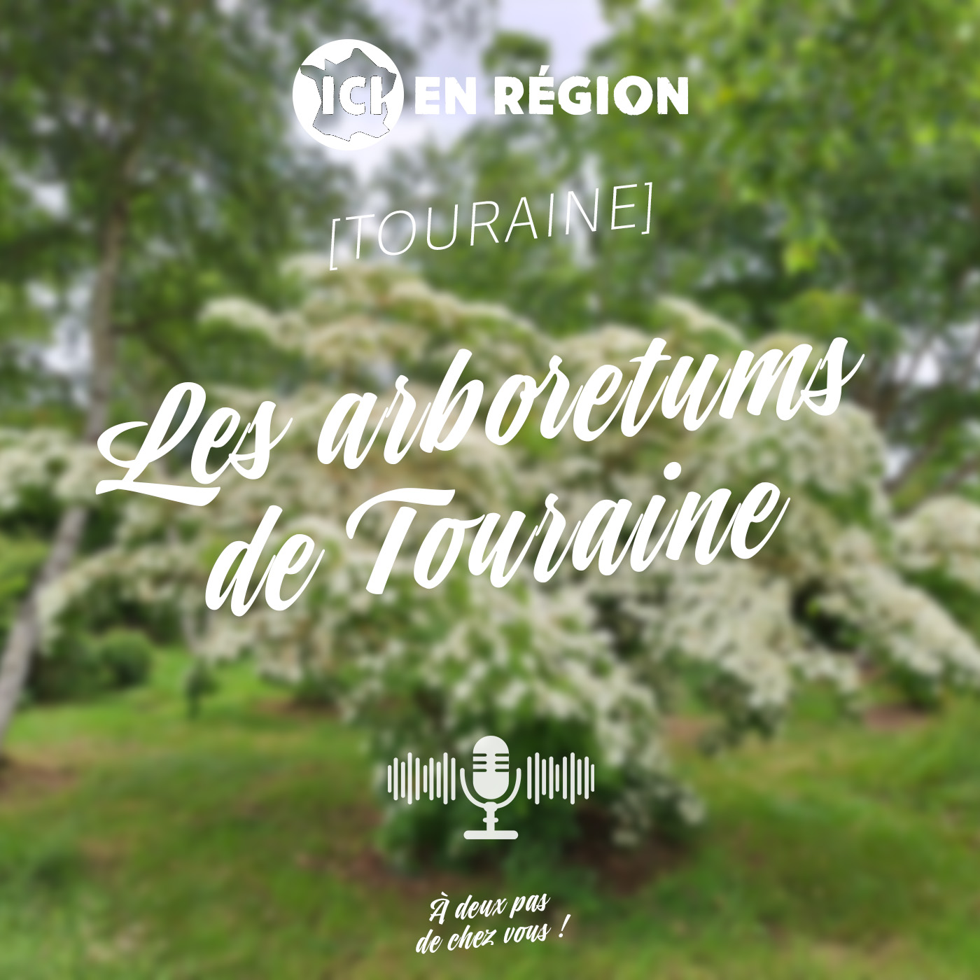 Les arboretums de Touraine