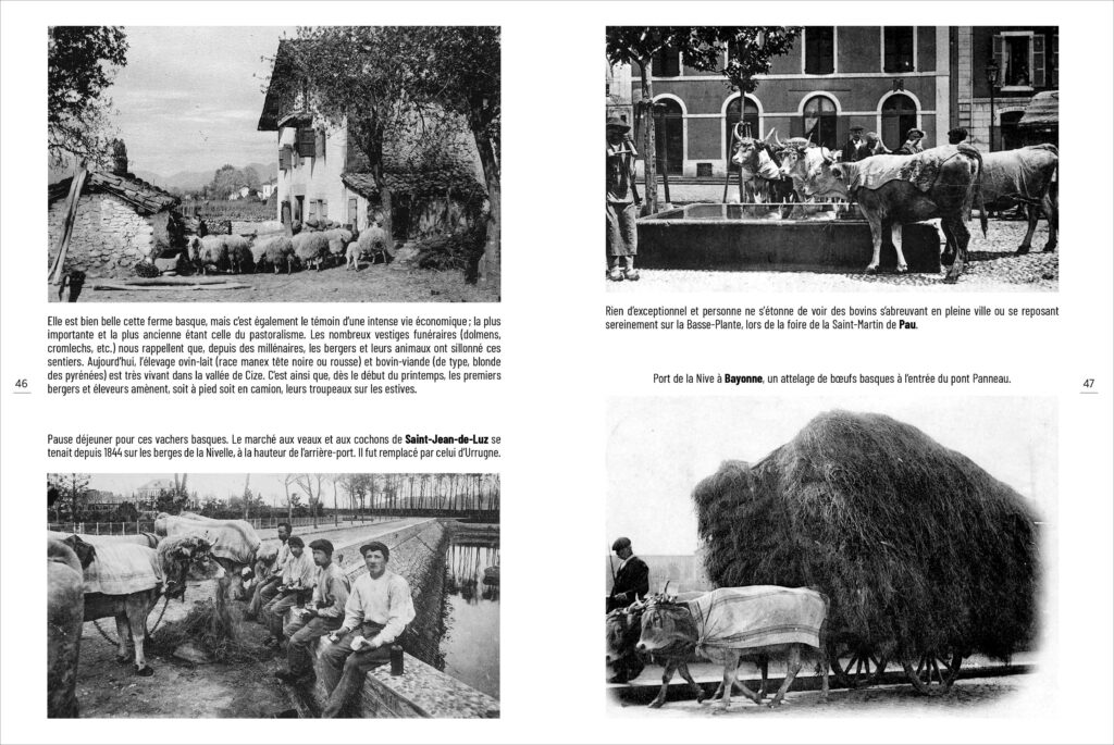 Pays Basque et Béarn d'autrefois
