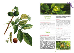 Secrets de jardinier