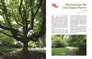 Arbres et jardins d'exception du Nord-Pas-de-Calais