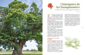 Arbres et jardins d'exception de Touraine