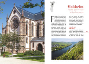 Sites remarquables et insolites d'Alsace - Tome II